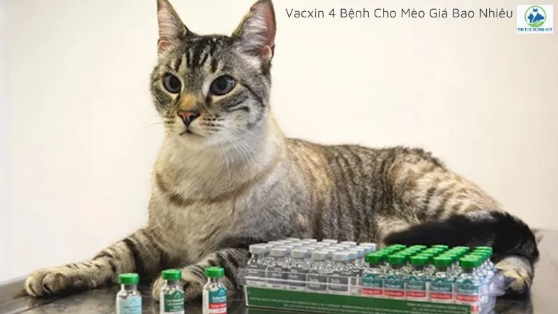 Vacxin 4 bệnh cho mèo giá bao nhiêu